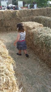 How will you do to guide them through the maze of life?